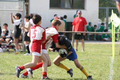 Premi per vedere l'immagine alla massima grandezza