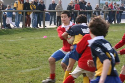 Premi per vedere l'immagine alla massima grandezza