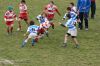 Torneo_Mogliano_2008-234.jpg