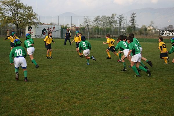 Premi per vedere l'immagine alla massima grandezza