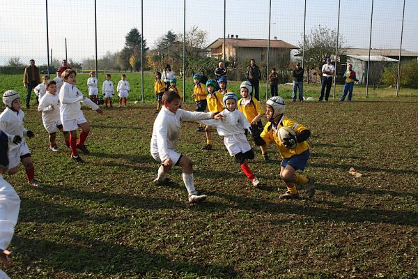 Premi per vedere l'immagine alla massima grandezza