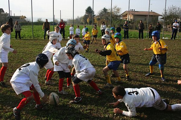 Premi per vedere l'immagine alla massima grandezza