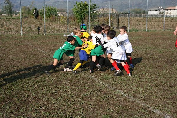 Premi per vedere l'immagine alla massima grandezza