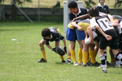 Premi per vedere l'immagine alla massima grandezza