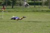 Nome del file=torneo_paese_999_104.jpg
Dimensione del file=467KiB
Dimensioni=700x467
Aggiunta il=Mag 26, 2008 torneo_paese_999_104.jpg