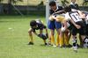 Nome del file=torneo_paese_999_136.jpg
Dimensione del file=392KiB
Dimensioni=700x467
Aggiunta il=Mag 26, 2008 torneo_paese_999_136.jpg