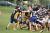 Nome del file=torneo_paese_999_198.jpg
Dimensione del file=396KiB
Dimensioni=700x467
Aggiunta il=Mag 26, 2008 torneo_paese_999_198.jpg