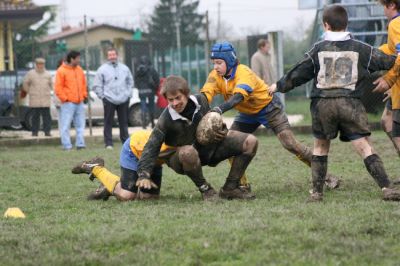 Premi per vedere l'immagine alla massima grandezza