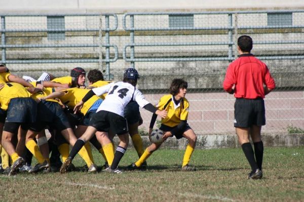 Premi per vedere l'immagine alla massima grandezza