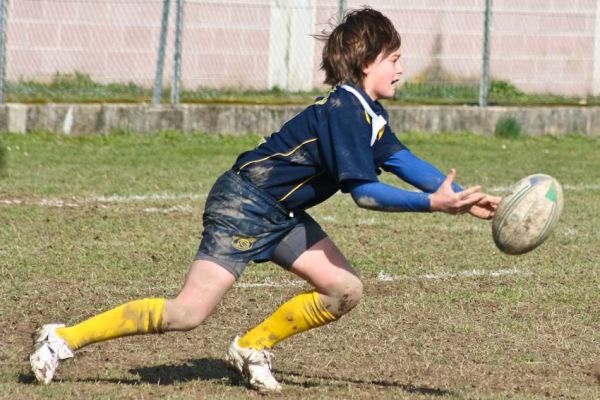 Premi per vedere l'immagine alla massima grandezza