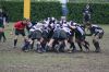 Nome del file=MoglianoVillorba_Udine_U17_(gen09)_215.jpg
Dimensione del file=108KiB
Dimensioni=800x533
Aggiunta il=Feb 18, 2009 MoglianoVillorba_Udine_U17_(gen09)_215.jpg