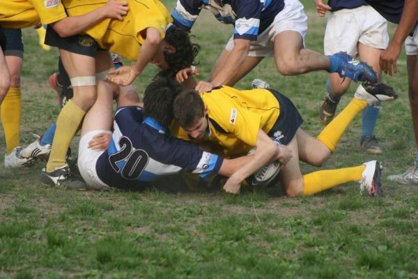 Premi per vedere l'immagine alla massima grandezza