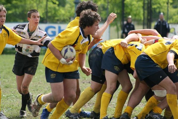 Premi per vedere l'immagine alla massima grandezza