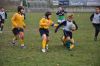 Nome del file=DSC_0059.jpg
Dimensione del file=130KiB
Dimensioni=1024x680
Aggiunta il=Nov 10, 2010 DSC_0059.jpg