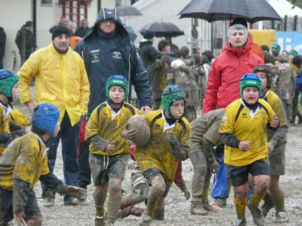 Premi per vedere l'immagine alla massima grandezza