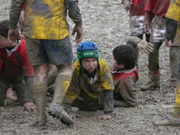 Premi per vedere l'immagine alla massima grandezza