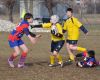 Nome del file=DSC_0033.jpg
Dimensione del file=94KiB
Dimensioni=800x643
Aggiunta il=Gen 30, 2011 DSC_0033.jpg