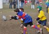 Nome del file=DSC_0116.jpg
Dimensione del file=73KiB
Dimensioni=800x554
Aggiunta il=Gen 30, 2011 DSC_0116.jpg