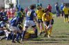 Nome del file=DSC_0340.JPG
Dimensione del file=97KiB
Dimensioni=800x531
Aggiunta il=Mar 27, 2011 DSC_0340.JPG