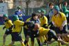 Nome del file=DSC_0371.JPG
Dimensione del file=78KiB
Dimensioni=800x531
Aggiunta il=Mar 27, 2011 DSC_0371.JPG