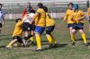 Nome del file=DSC_0145.JPG
Dimensione del file=323KiB
Dimensioni=1500x996
Aggiunta il=Apr 15, 2011 DSC_0145.JPG