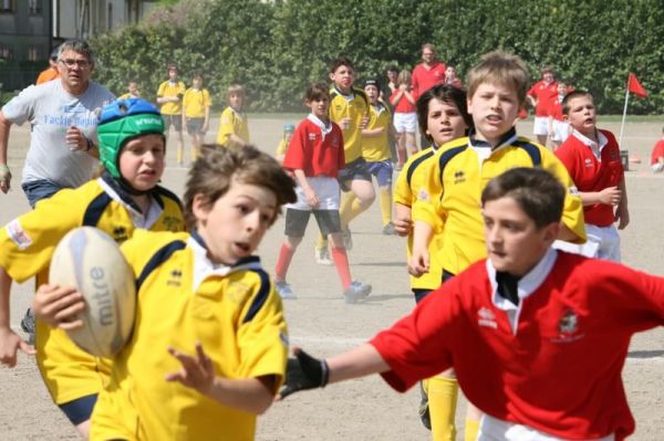 Premi per vedere l'immagine alla massima grandezza