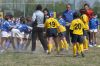 Nome del file=DSC_0187.JPG
Dimensione del file=412KiB
Dimensioni=1000x664
Aggiunta il=Apr 21, 2011 DSC_0187.JPG