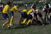 Nome del file=DSC_7184.jpg
Dimensione del file=69KiB
Dimensioni=700x470
Aggiunta il=Apr 10, 2011 DSC_7184.jpg