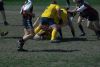 Nome del file=DSC_7193.jpg
Dimensione del file=61KiB
Dimensioni=700x470
Aggiunta il=Apr 10, 2011 DSC_7193.jpg