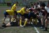 Nome del file=DSC_7207.jpg
Dimensione del file=67KiB
Dimensioni=700x470
Aggiunta il=Apr 10, 2011 DSC_7207.jpg