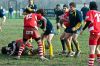 Nome del file=Villorba-Vicenza-51.jpg
Dimensione del file=113KiB
Dimensioni=800x533
Aggiunta il=Nov 30, 2009 Villorba-Vicenza-51.jpg
