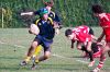 Nome del file=Villorba-Vicenza-55.jpg
Dimensione del file=101KiB
Dimensioni=800x533
Aggiunta il=Nov 30, 2009 Villorba-Vicenza-55.jpg