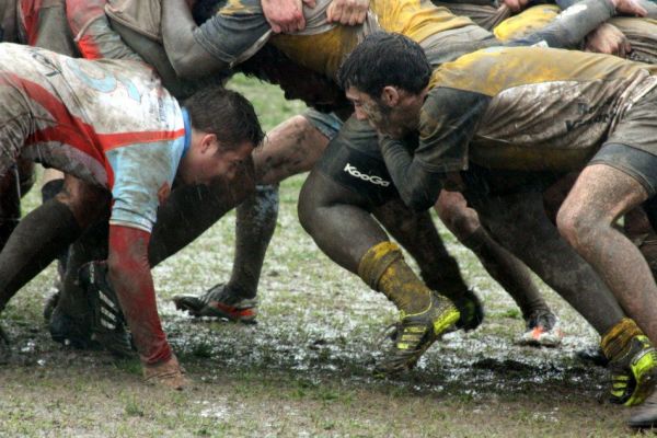 Premi per vedere l'immagine alla massima grandezza