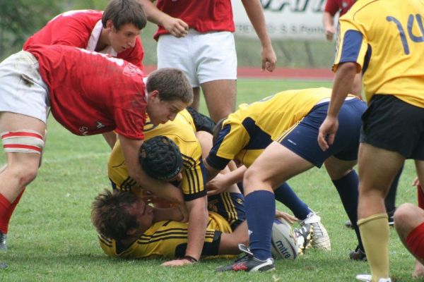 Premi per vedere l'immagine alla massima grandezza