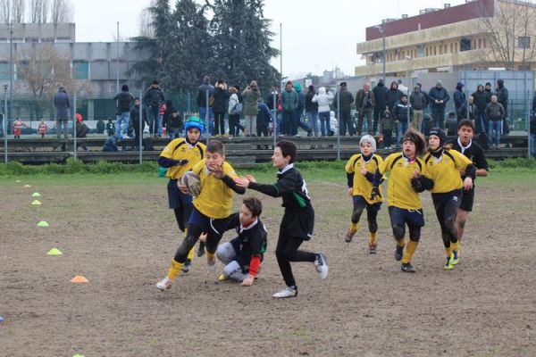 Premi per vedere l'immagine alla massima grandezza