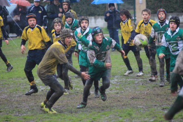 Premi per vedere l'immagine alla massima grandezza