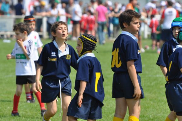 Premi per vedere l'immagine alla massima grandezza