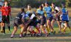 Nome del file=20171007_2166.JPG
Dimensione del file=290KiB
Dimensioni=1656x1000
Aggiunta il=Ott 12, 2017 20171007_2166.JPG