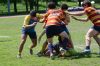 Nome del file=20180422_3442.JPG
Dimensione del file=355KiB
Dimensioni=1500x1000
Aggiunta il=Mag 01, 2018 20180422_3442.JPG