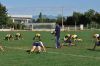 DSC_0001_risultato~9.jpg