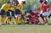 Nome del file=DSC_0018.JPG
Dimensione del file=133KiB
Dimensioni=950x631
Aggiunta il=Ott 25, 2011 DSC_0018.JPG