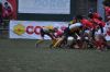 DSC_0027_risultato~10.jpg