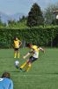 Nome del file=DSC_0033_risultato~7.jpg
Dimensione del file=424KiB
Dimensioni=1500x2258
Aggiunta il=Set 20, 2015 DSC_0033_risultato~7.jpg