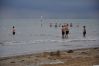 DSC_0048_risultato~0.jpg