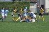 DSC_0076_-_Copia_risultato.jpg