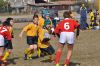 Nome del file=DSC_0104.JPG
Dimensione del file=125KiB
Dimensioni=950x631
Aggiunta il=Ott 25, 2011 DSC_0104.JPG
