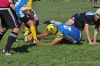 Nome del file=DSC_0113_risultato~5.jpg
Dimensione del file=910KiB
Dimensioni=3011x2000
Aggiunta il=Mag 14, 2015 DSC_0113_risultato~5.jpg
