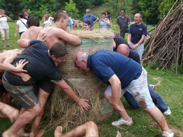 Premi per vedere l'immagine alla massima grandezza