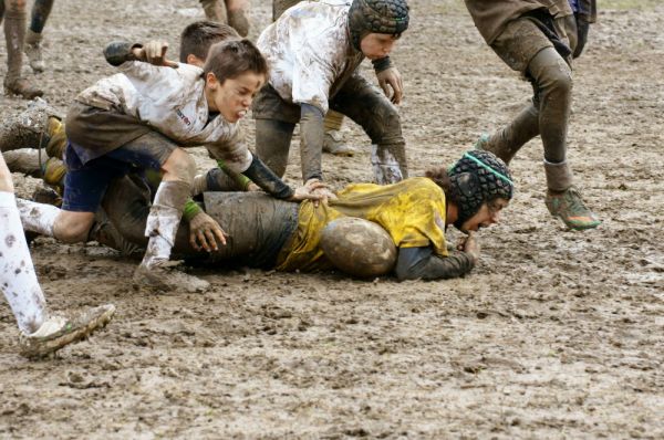 Premi per vedere l'immagine alla massima grandezza