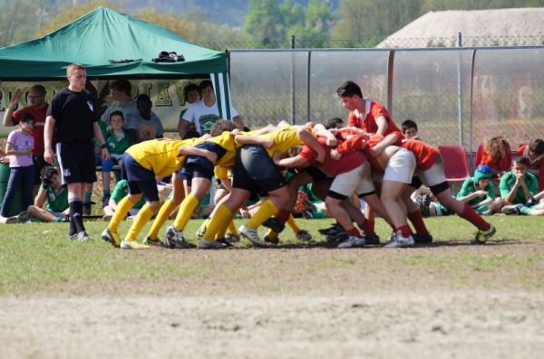 Premi per vedere l'immagine alla massima grandezza